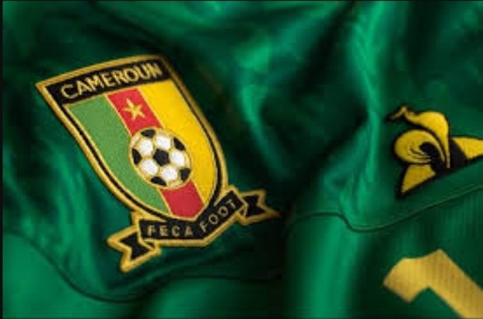Cameroun : La FECAFOOT suspend plusieurs hauts responsables