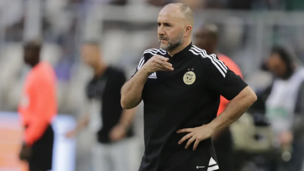 Algérie : Conflit entre Djamel Belmadi et la fédération autour de la résiliation du contrat